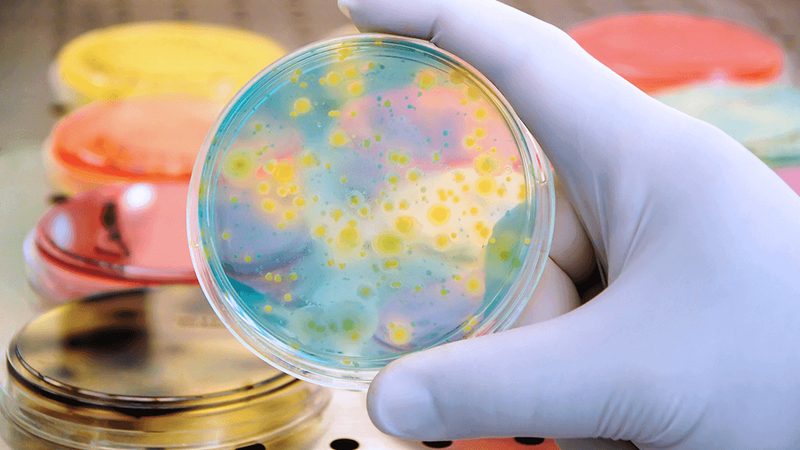 CDMO服务流程定制方案：揭秘生物制药生产的关键环节