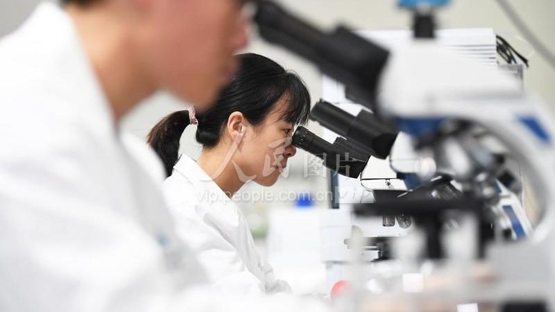 生物医药外包报价为什么差这么多
