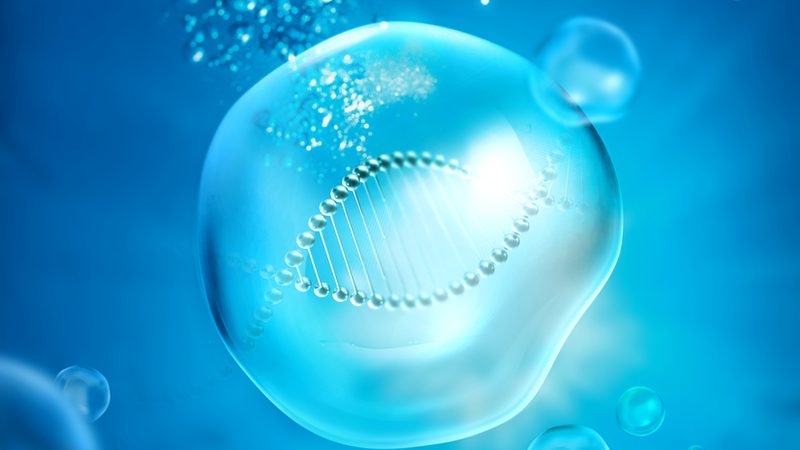 引物合成HPLC纯化：揭秘生物科技中的关键工艺**