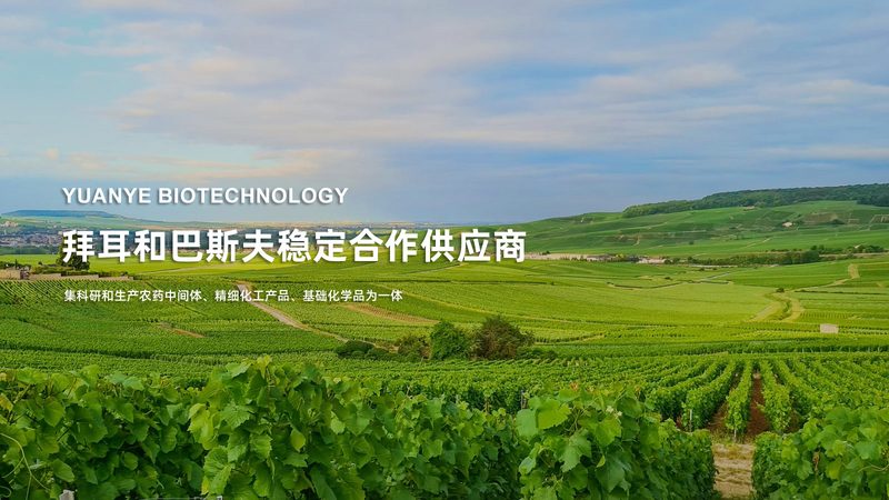 生物科技公司技术平台对比