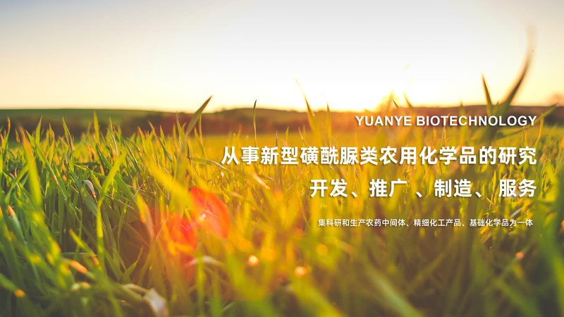 无血清培养基：价格之外，你还需要了解这些**