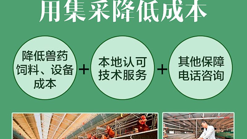 离心管材质：如何选择合适的实验伴侣**