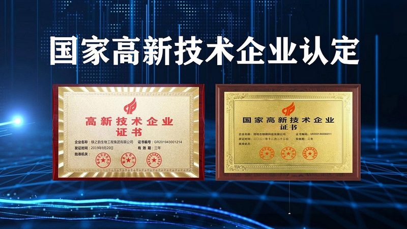 中国CDMO龙头企业分类解析：揭秘行业领军者