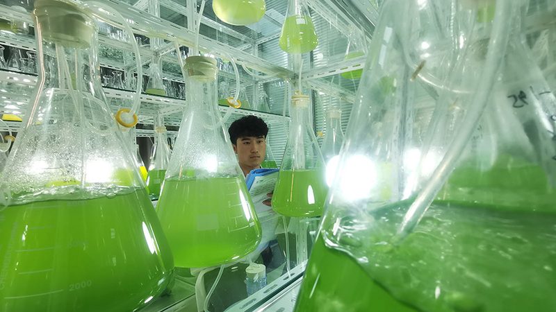 稳定型无血清培养基：研发人员的“营养师”**